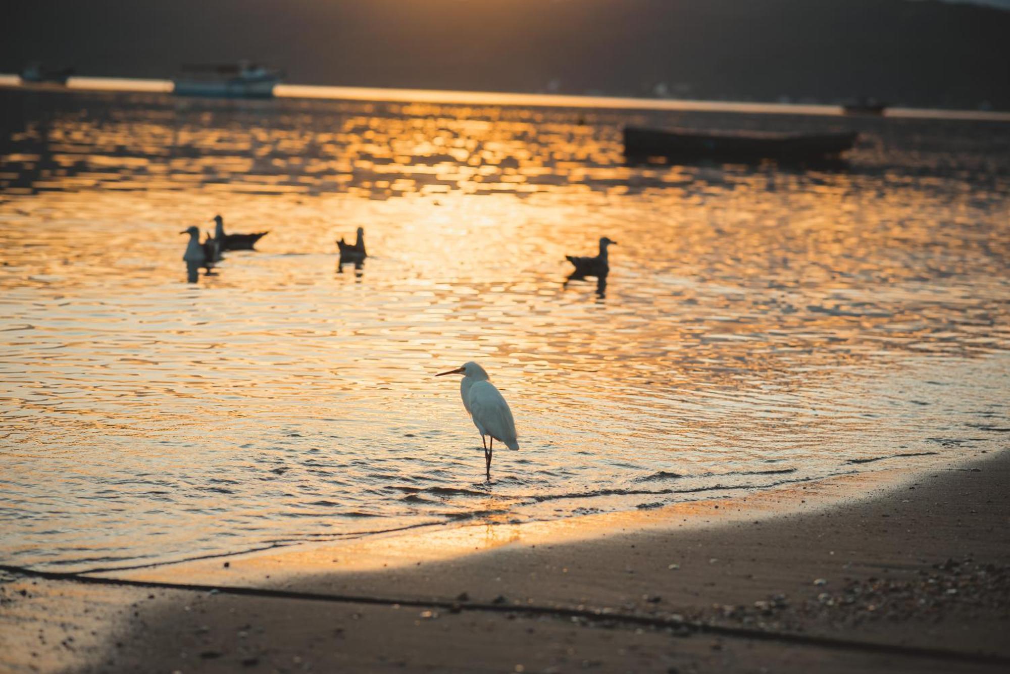 Pousada Canto Do Pescador Bombinhas Bagian luar foto